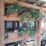 Rose Resort, 40m2 For 4 Guests, With Terrace *