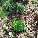 Rose Resort, 40m2 For 4 Guests, With Terrace * Ljubljana