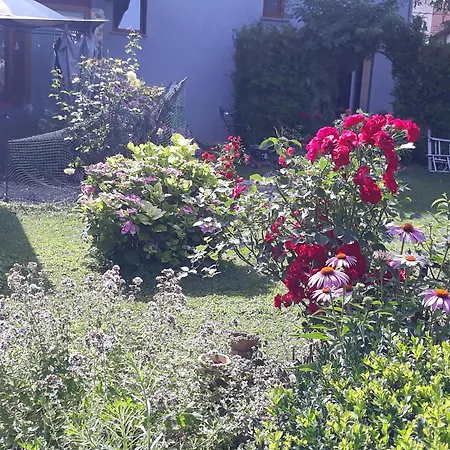 Rose Resort, 40m2 For 4 Guests, With Terrace *