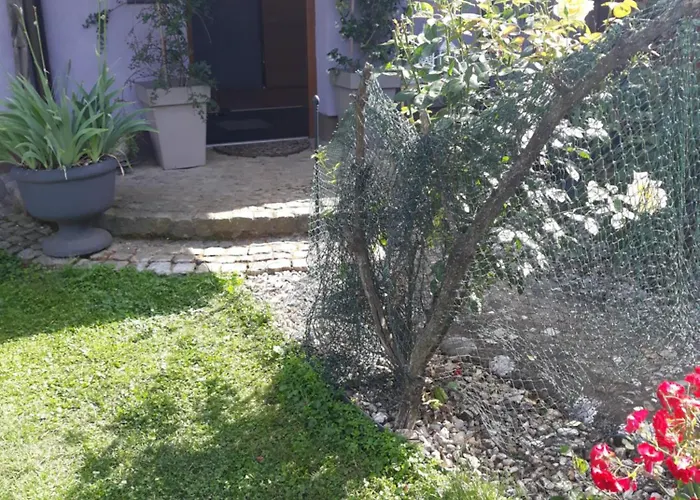 Rose Resort, 40m2 For 4 Guests, With Terrace Quarto em Acomodações Particulares *