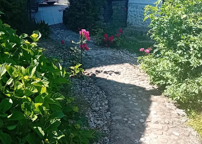 Rose Resort, 40m2 For 4 Guests, With Terrace