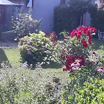 Rose Resort, 40m2 For 4 Guests, With Terrace *