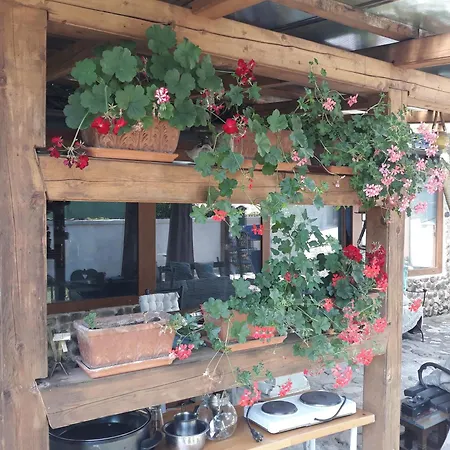 Rose Resort, 40m2 For 4 Guests, With Terrace *