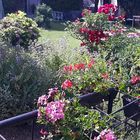 Rose 40m2 With Terrace 25m2 , Outdoor Cooking In Greeny Area For 4 Person * Liubliana