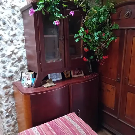 Rose 40m2 With Terrace 25m2 , Outdoor Cooking In Greeny Area For 4 Person Habitación en casa particular