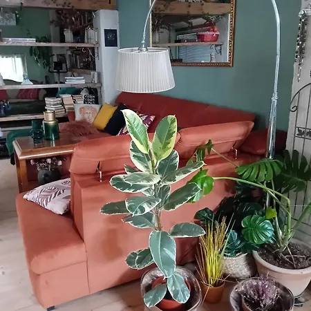 Homestay szállás Rose Resort, 40m2 For 4 Guests, With Terrace Ljubljana