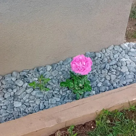 Rose 40m2 With Terrace 25m2 , Outdoor Cooking In Greeny Area For 4 Person Habitación en casa particular Liubliana