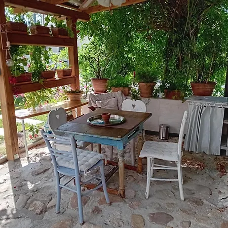 Rose Resort, 40m2 For 4 Guests, With Terrace