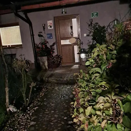 Rose Resort, 40m2 For 4 Guests, With Terrace *