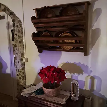 בית אירוח Rose Resort, 40m2 For 4 Guests, With Terrace *