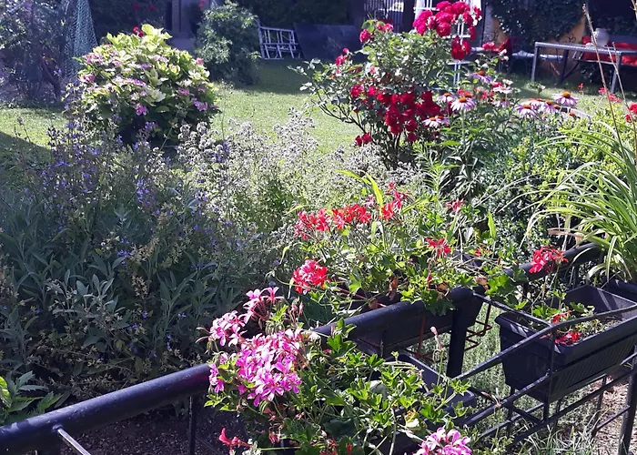 Rose Resort, 40m2 For 4 Guests, With Terrace * Ljubljana