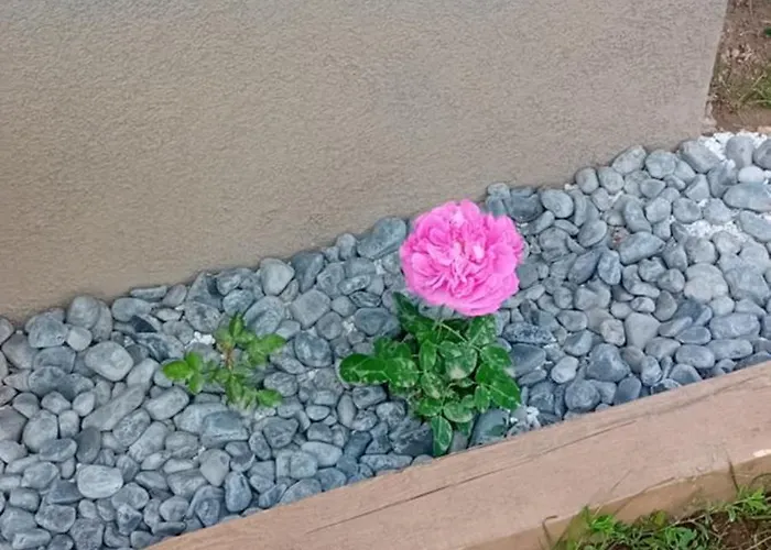 Rose Resort, 40m2 For 4 Guests, With Terrace Habitación en casa particular Liubliana