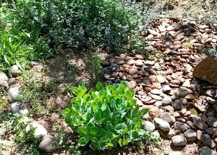 Rose Resort, 40m2 For 4 Guests, With Terrace * Liubliana