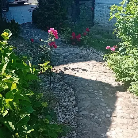 Rose Resort, 40m2 For 4 Guests, With Terrace